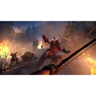 Far Cry Primal. Специальное издание