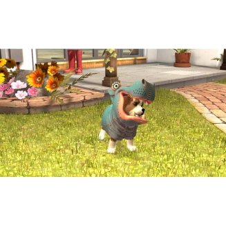 Pets