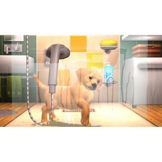 Pets