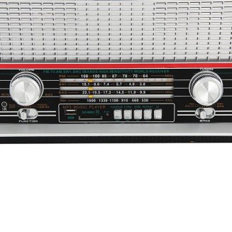 Радиоприемник Ritmix RPR-101 Black